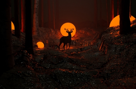 교육과정 이미지